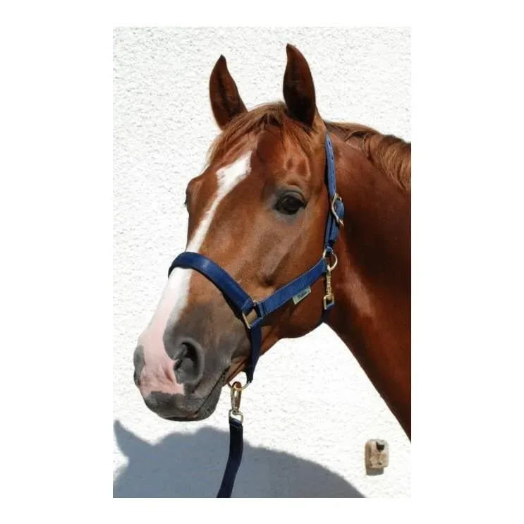 Bucas Halfter Dublin - navy Farbe: Navy, Grösse Halfter: Full