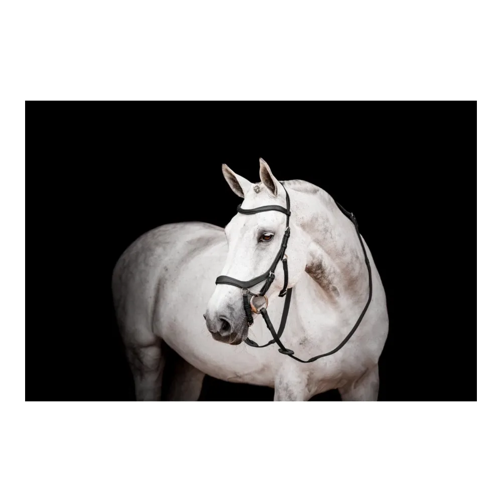 Horseware Zaum Micklem3 Competiton ohne Zügel - Schwarz -  Farbe: Schwarz, Grösse: Full