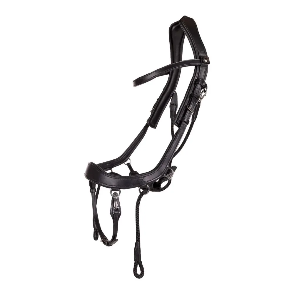 PresTeq Gebisslose Trense FaySport - Schwarz -  Farbe: Schwarz, Grösse: Cob