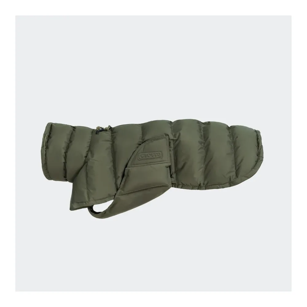 Cloud 7 Winter Hundemantel Everest Regular - Light Olive -  Grösse: 3