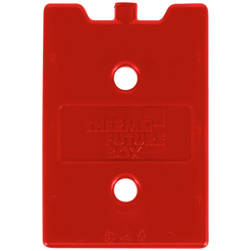 Thermo Future Box Wärme-Akku Mini; 22x15x2 cm (LxBxH); rot