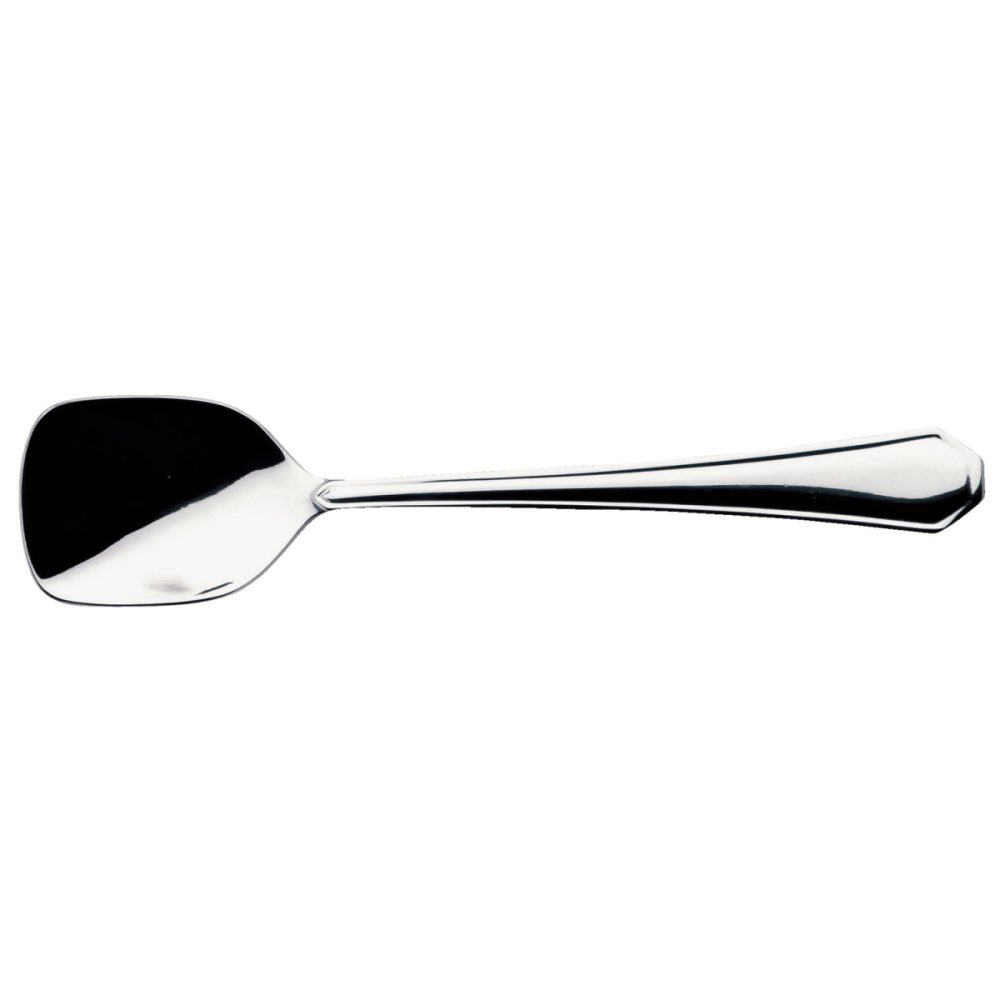 VEGA Eislöffel Tunis kurz; 13.5 cm (L); silber, Griff silber; 12 Stück / Pack