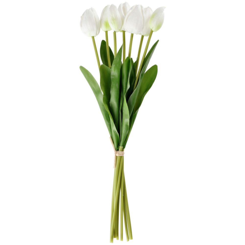 Tulpenbund Talea; 48 cm (L); weiss