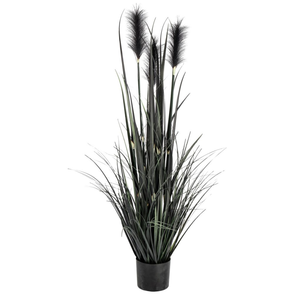 Grasbusch Sanjah; 85 cm (H); schwarz