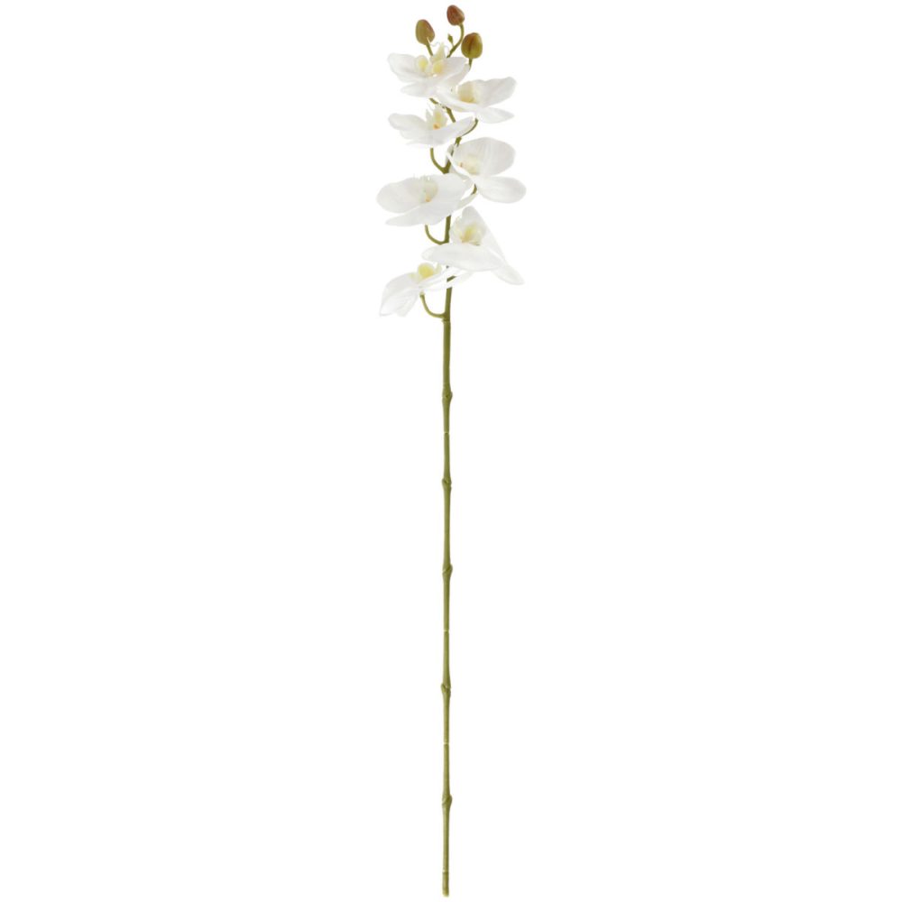 VEGA Orchideenzweig Mabou; 95 cm (L); weiss/grün
