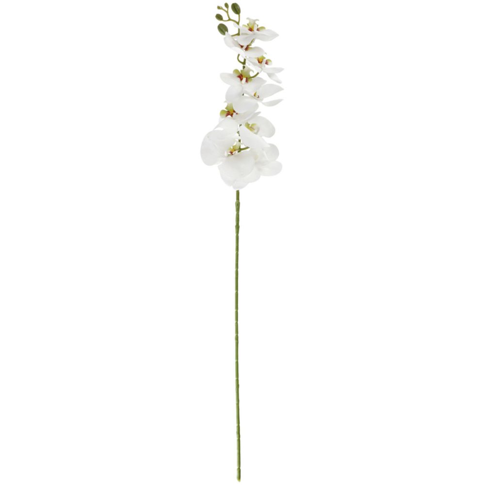 VEGA Orchideenzweig Macey; 83 cm (L); weiss/grün