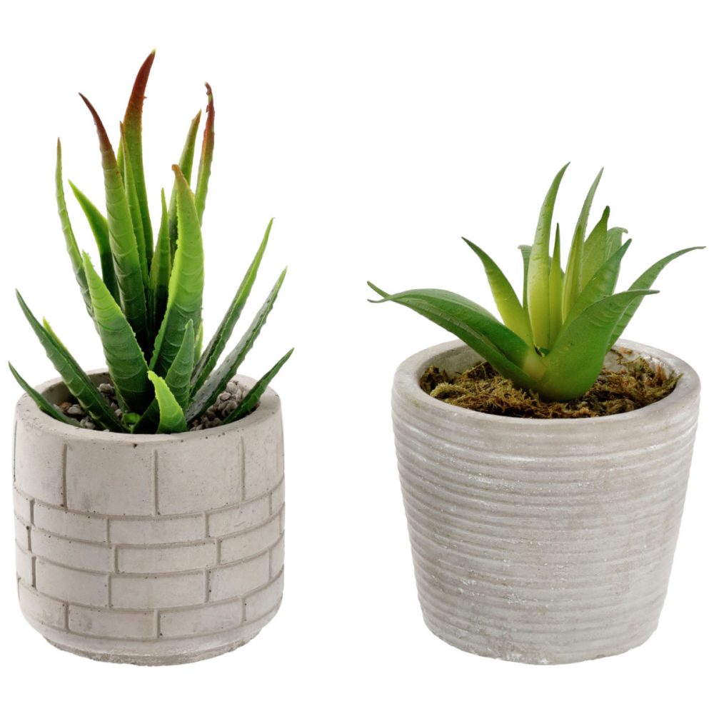 Kunstpflanzen-Set Afia; 6.5x14 cm (ØxH); grau/grün