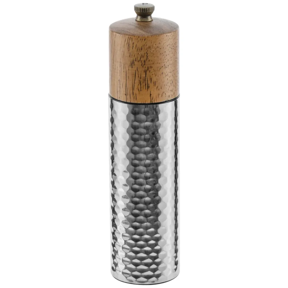VEGA Salzmühle Omea; 4.8x19.4 cm (ØxH); silber