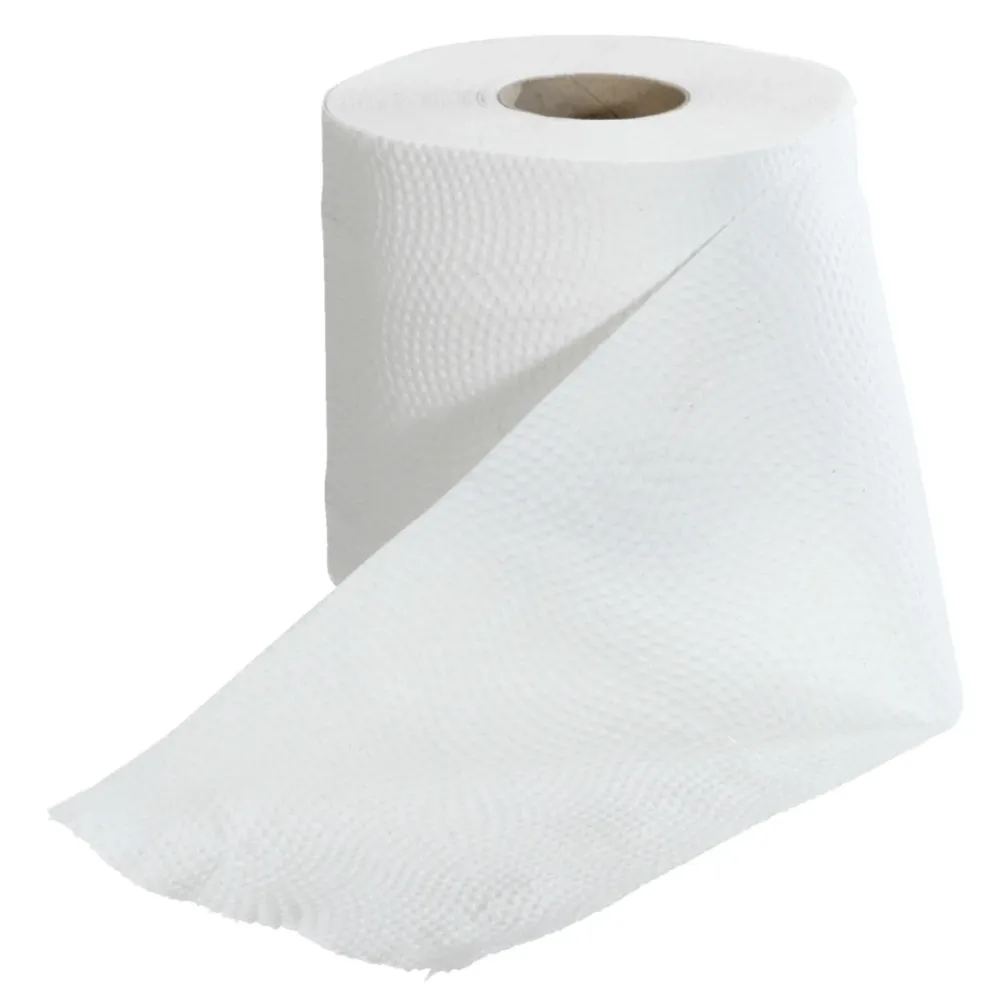 Katrin Toilettenpapier Basic 2-lagig; 9.8x10.5 cm (BxØ); weiss; 64 Stück / Pack