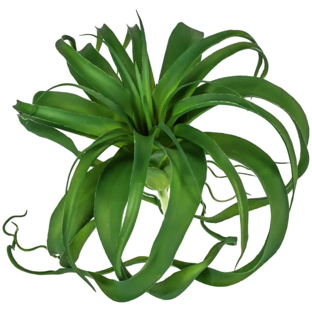 Hängepflanze Kinza; 23 cm (H); grün