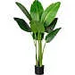 Kunstpflanze Strelitzia