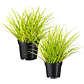 Kunstpflanze Gras im 2er-Set