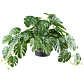 Kunstpflanze Splitphilodendron