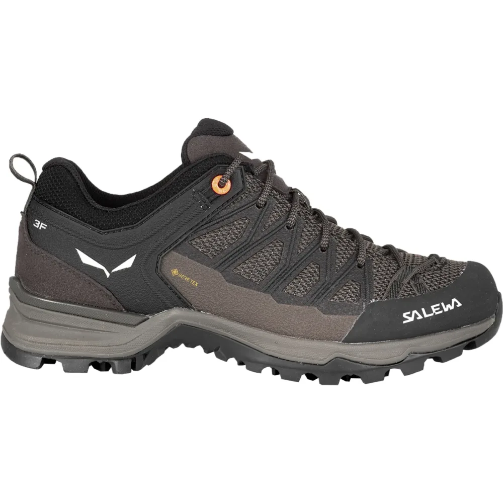 Salewa Damen MTN Trainer Lite GTX Schuhe