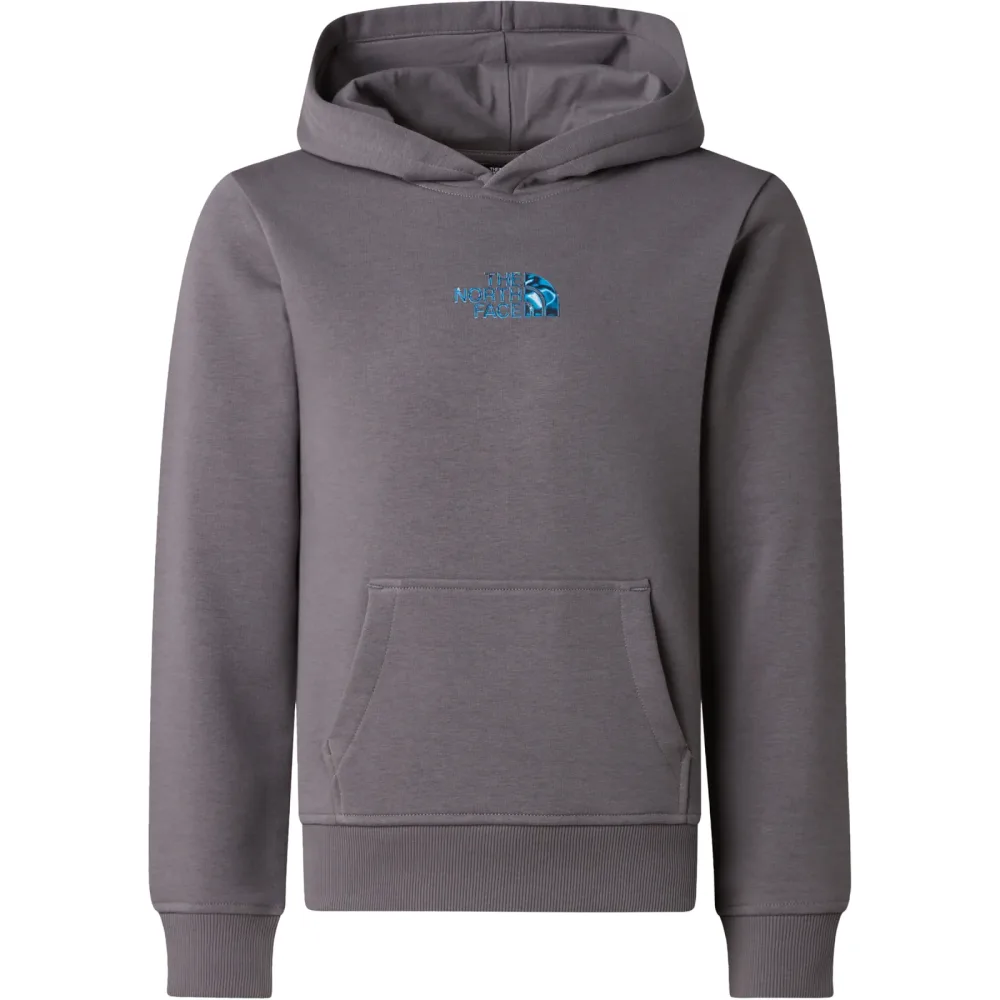 The North Face Kinder Liquid Logo Reg Hoodie