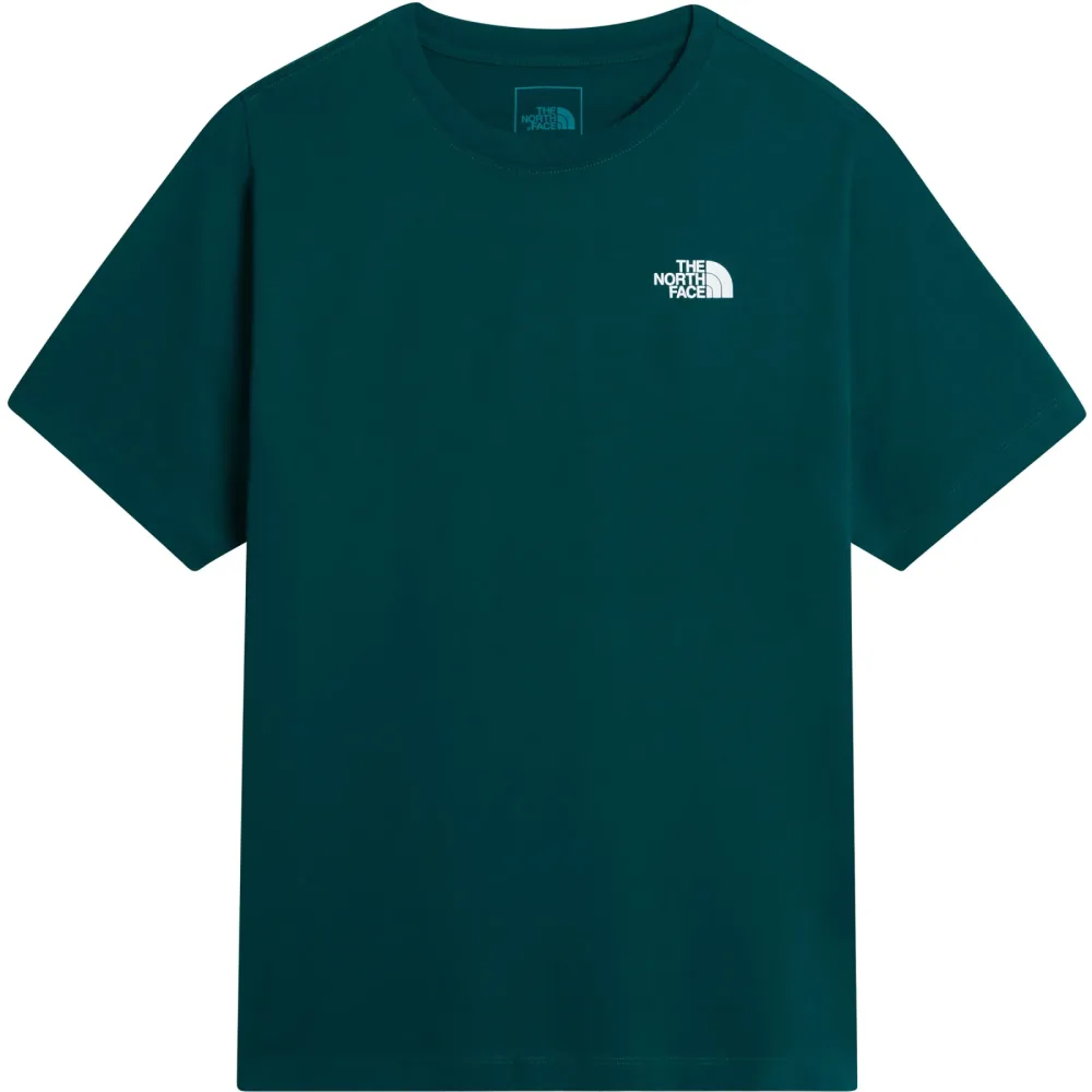 The North Face Herren Evolution Box Nse T-Shirt