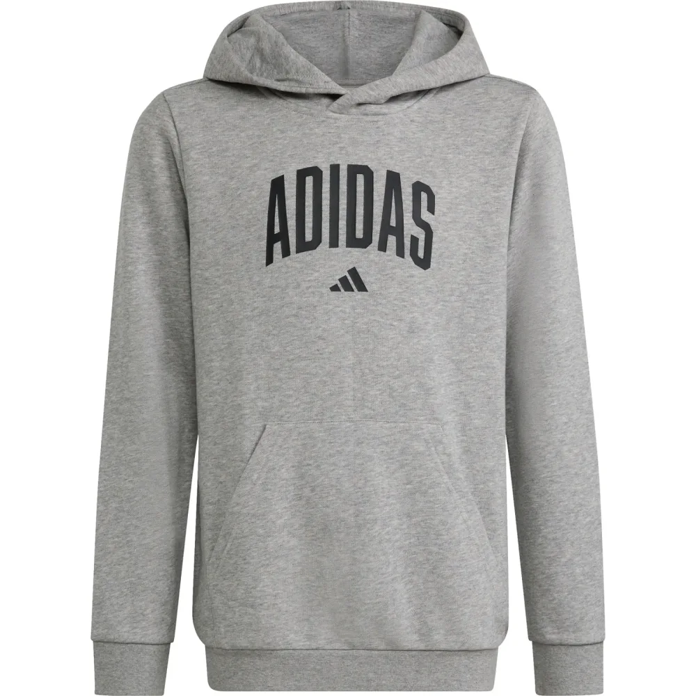 adidas Kinder Collegiate Graphic Hoodie