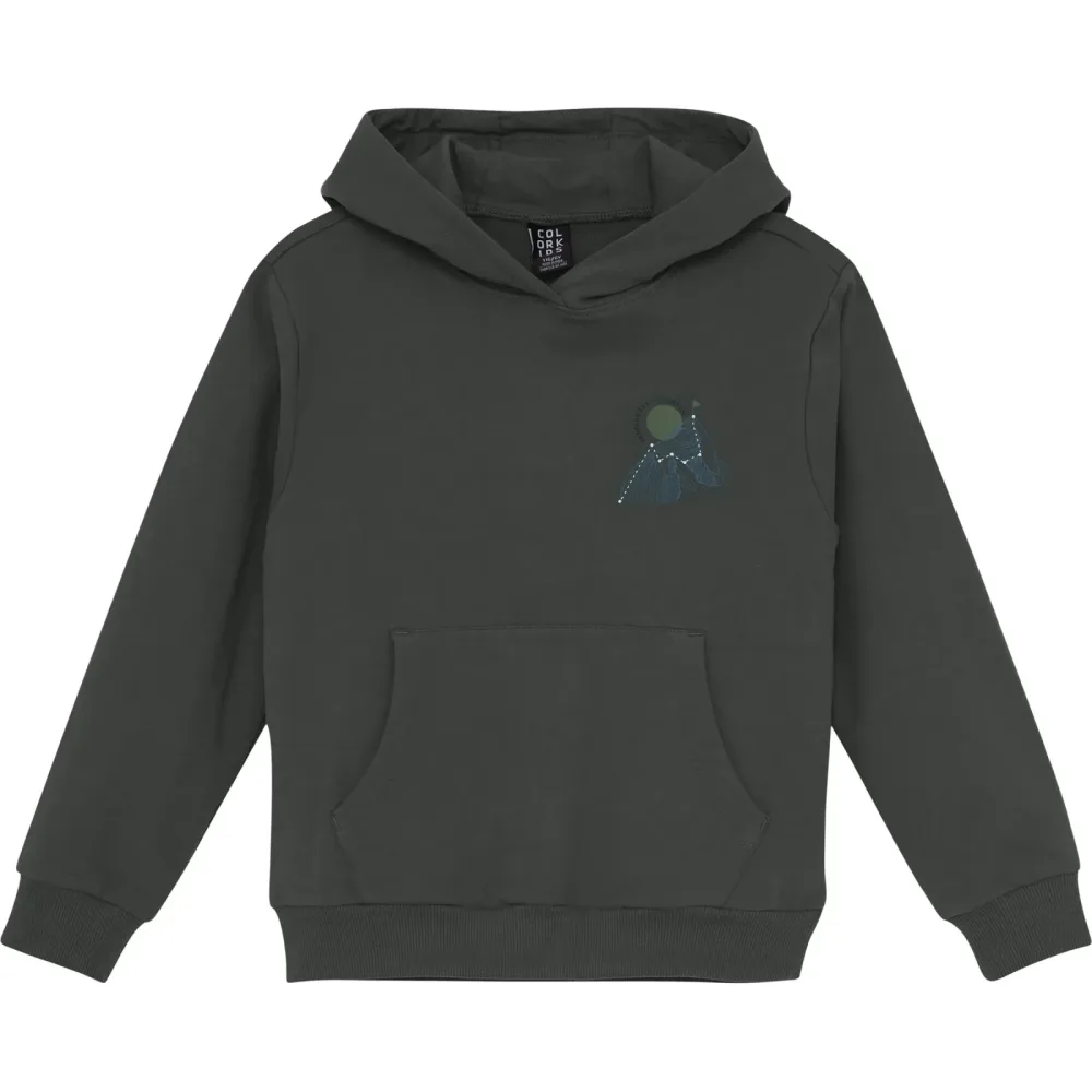 Color Kids Kinder Sweat Hoodie