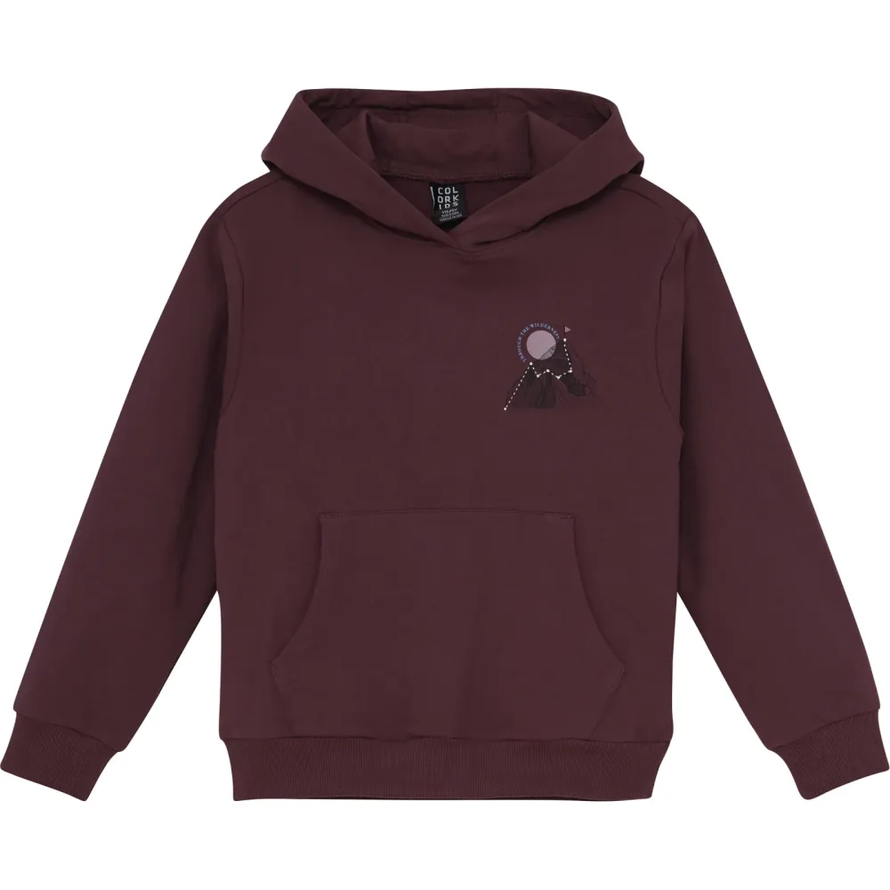 Color Kids Kinder Sweat Hoodie