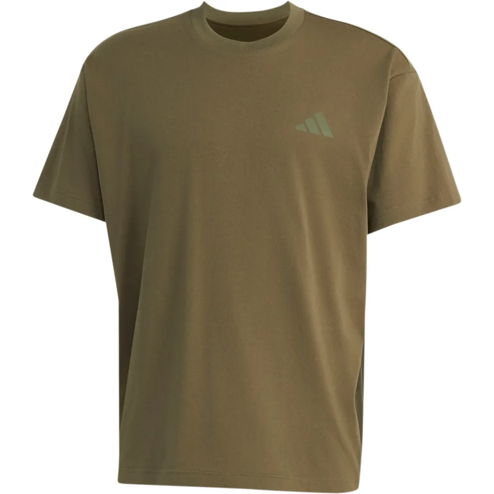 adidas Terrex Herren Elements Graphic T-Shirt