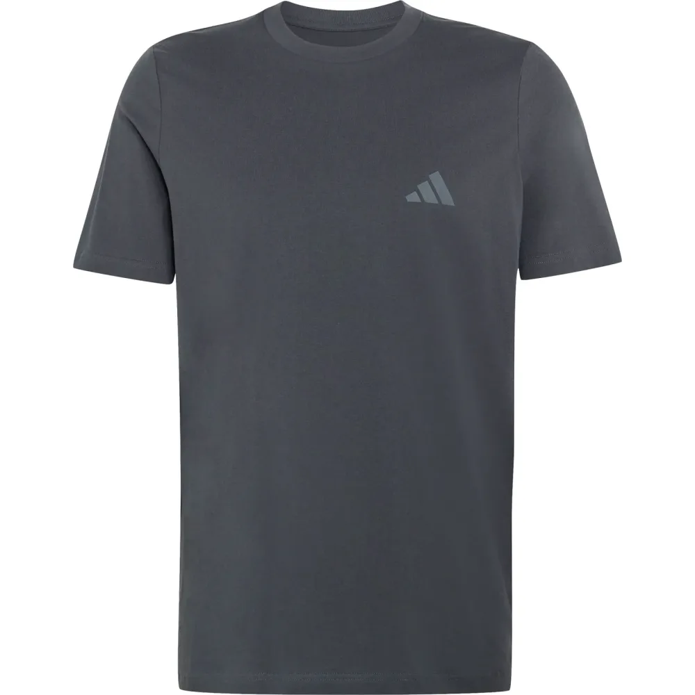 adidas Terrex Herren Mountain Graphic T-Shirt