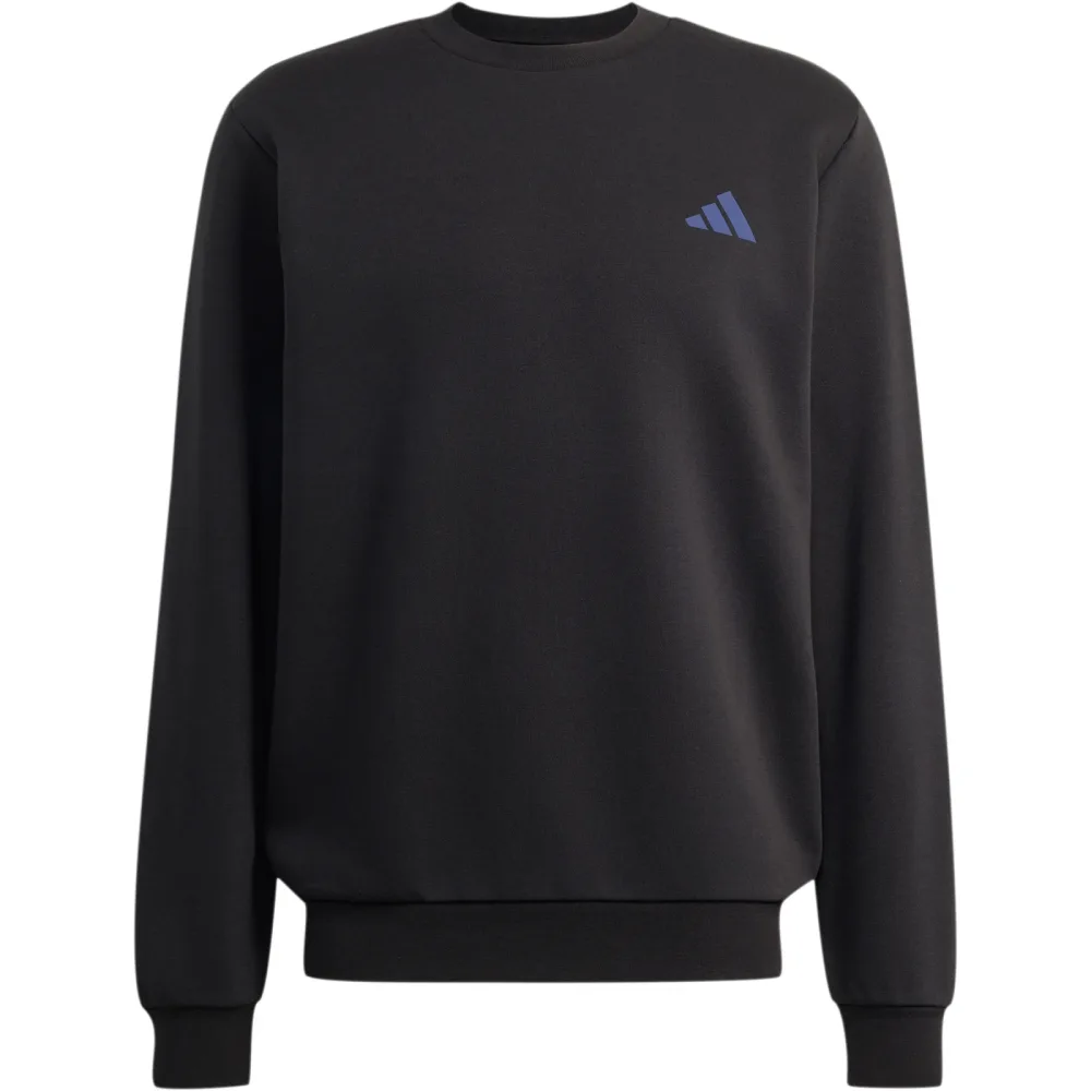 adidas Terrex Herren Snow Sport Graphic Pullover