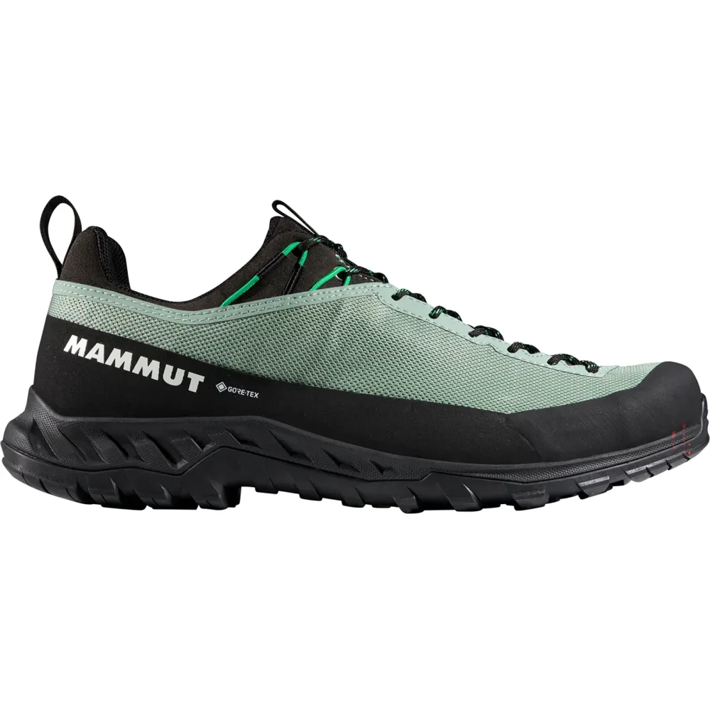 Mammut Herren Alnasca IV Low GTX Schuhe
