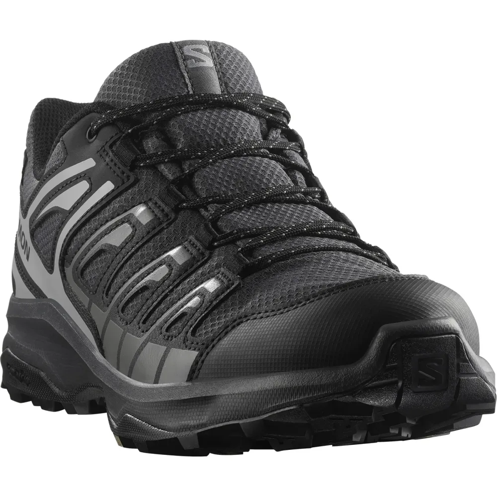 Salomon Herren Extegra GTX Schuhe