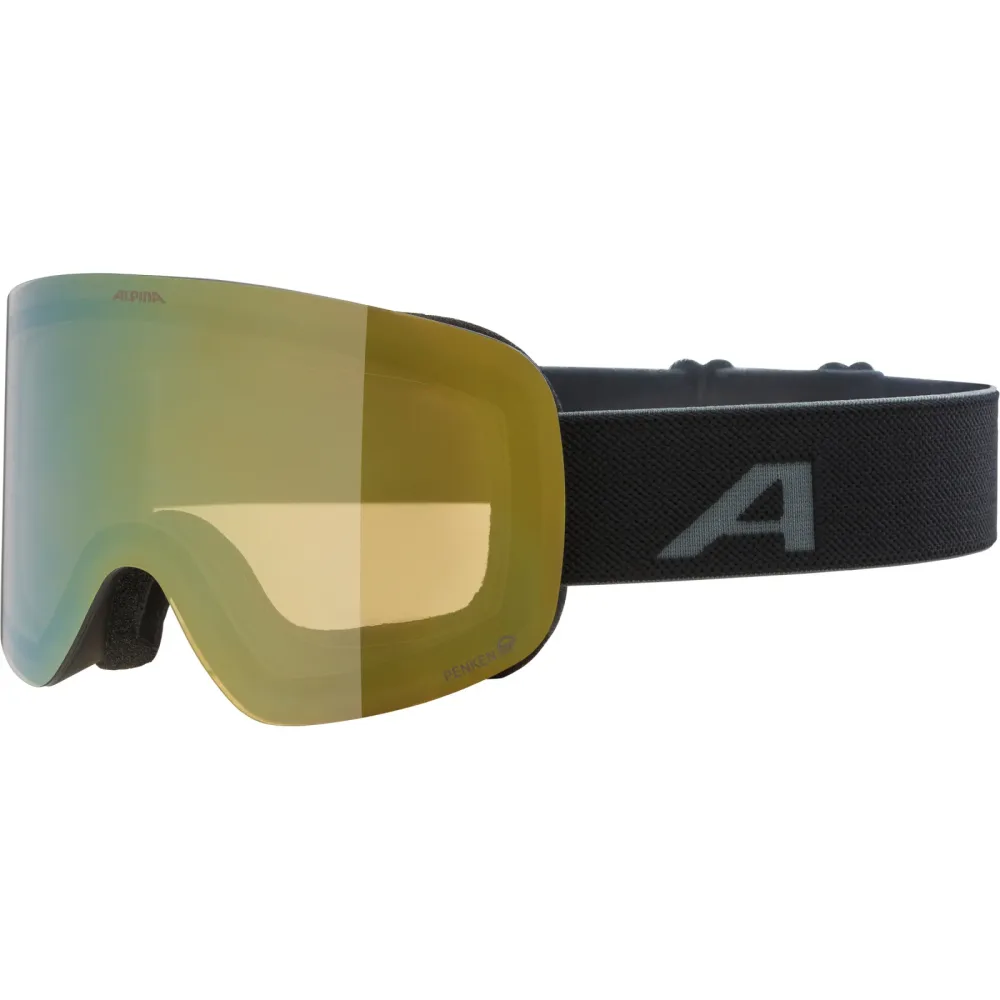 Alpina Penken Q Skibrille