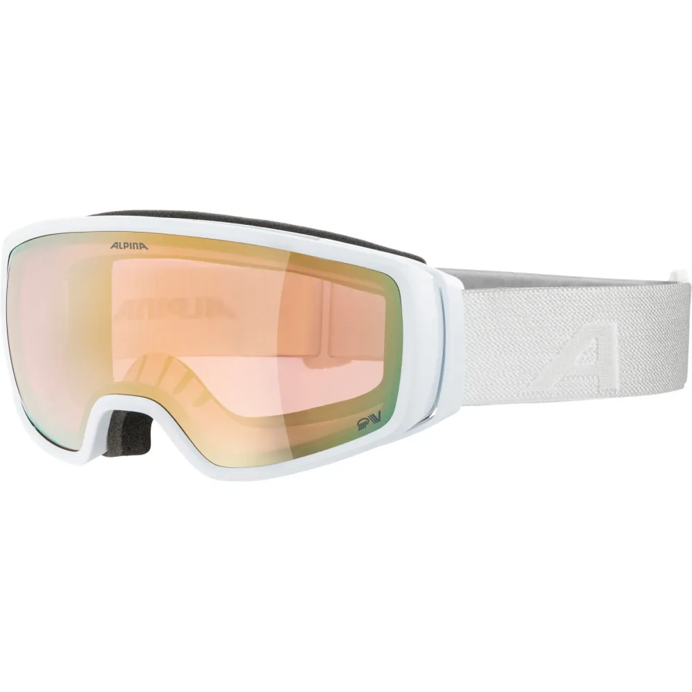 Alpina Double Jack QV Skibrille