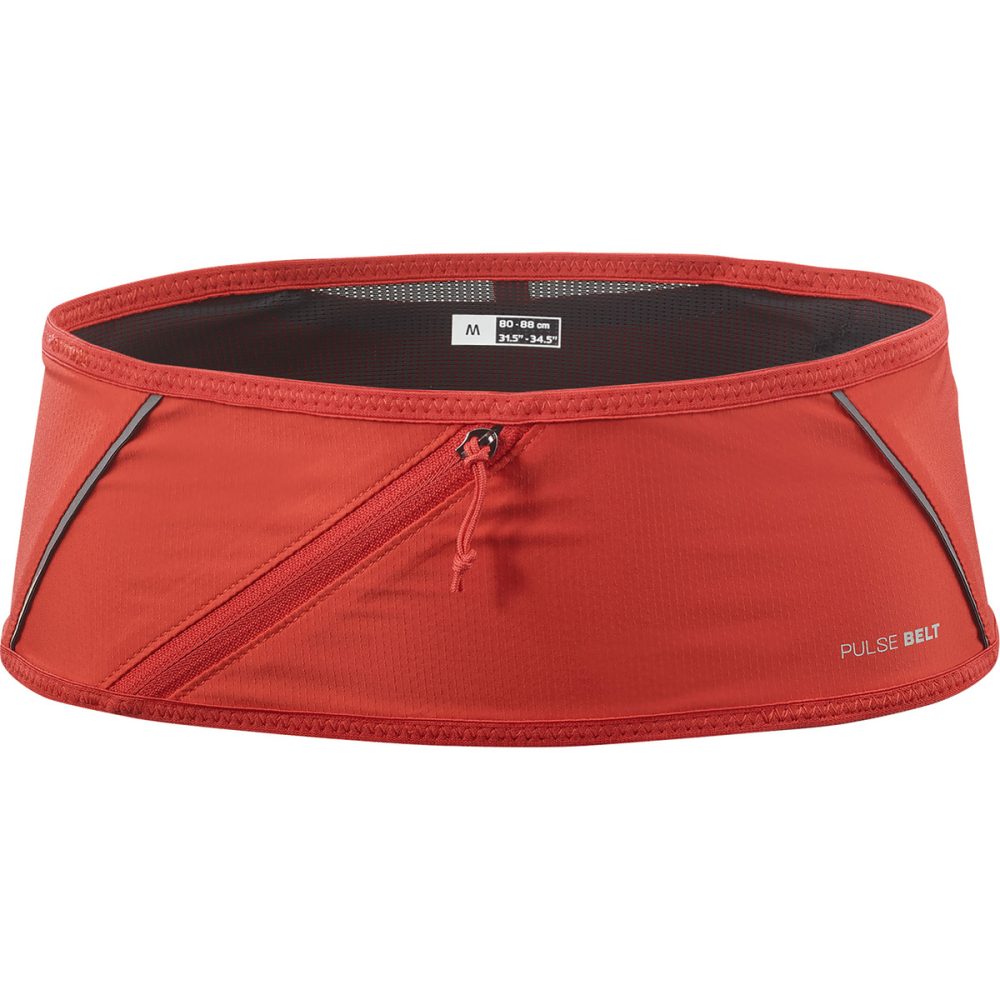 Salomon Pulse Laufgürtel