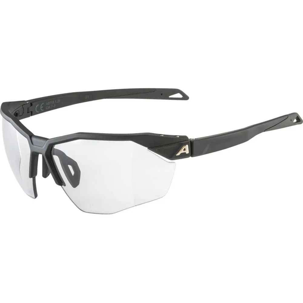 Alpina Twist Six HR V 1-3 Sportbrille