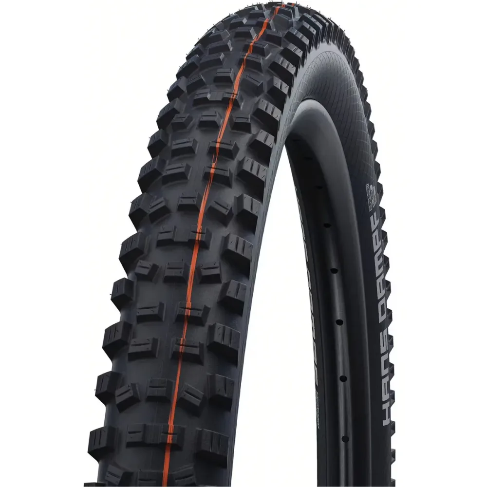 Schwalbe Hans Dampf Evolution Line HS 491 Reifen