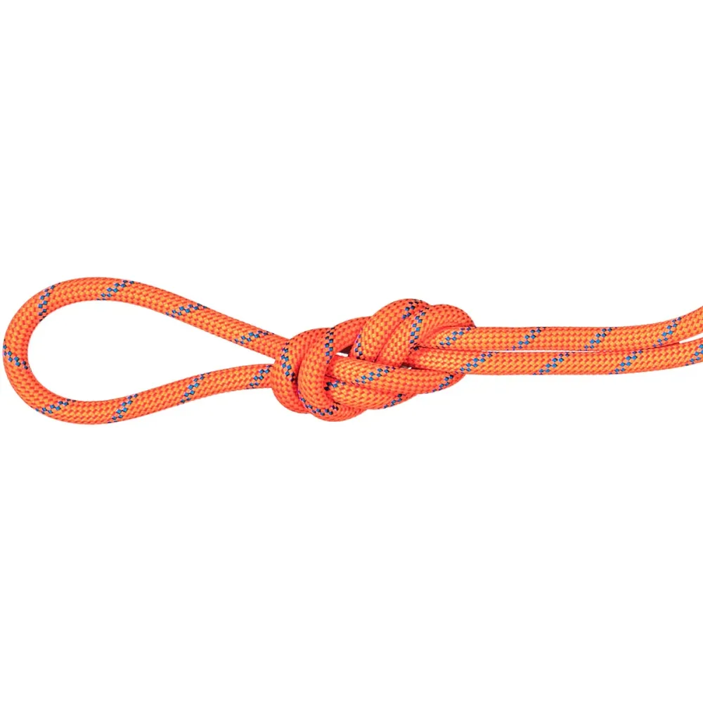 Mammut 7.5 Alpine Sender Dry 70m Kletterseil