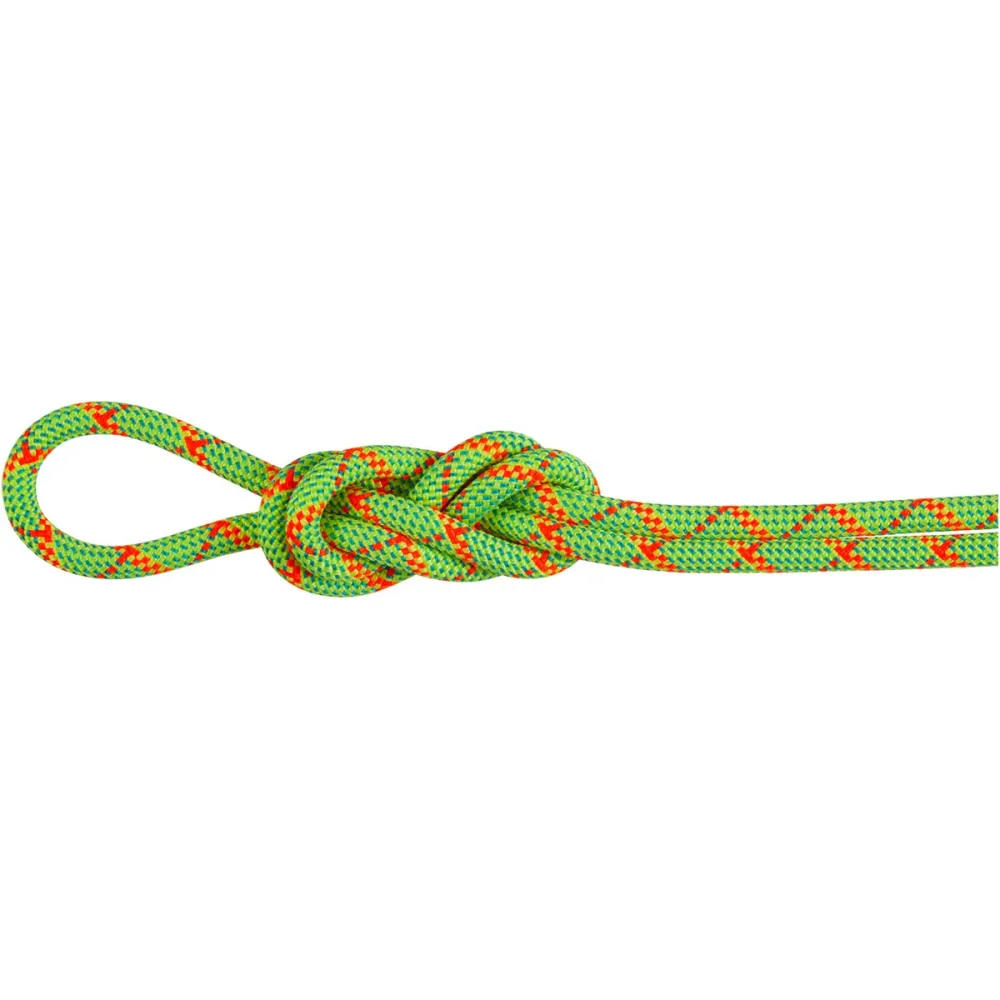 Mammut 8.0 Alpine Core Protect Dry Kletterseil