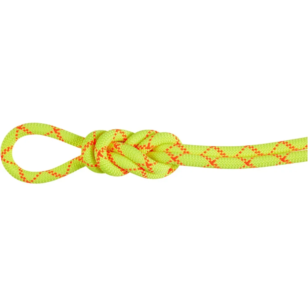 Mammut 9.5 Alpine Core Protect Dry Kletterseil