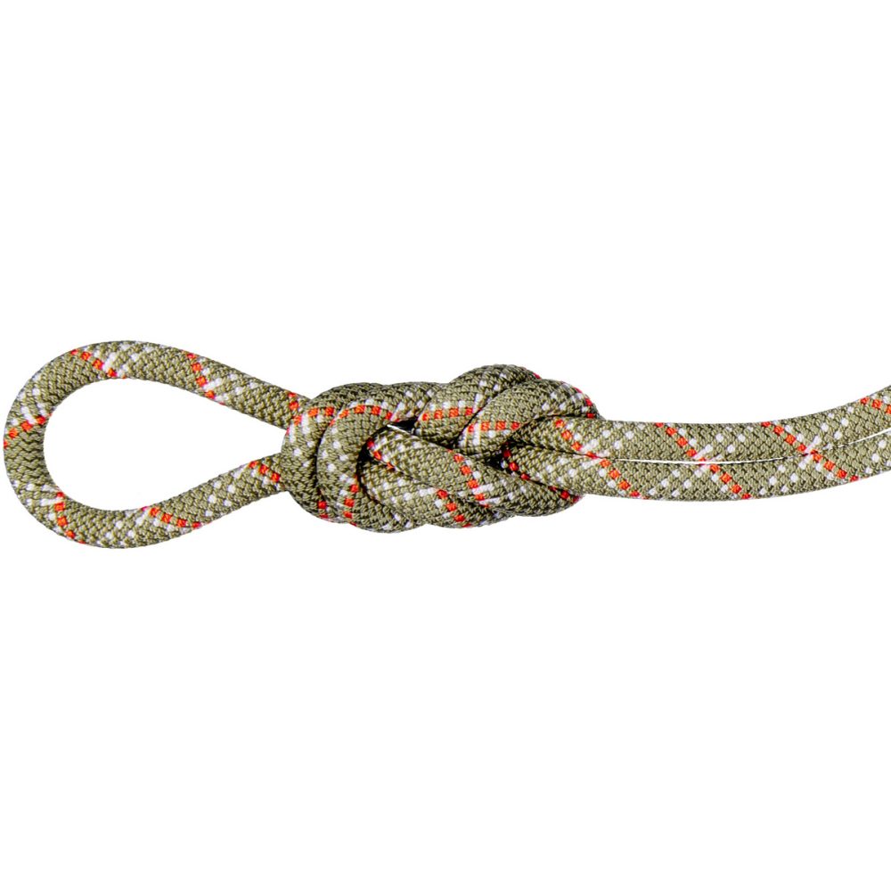 Mammut 9.5 Gym Classic Kletterseil