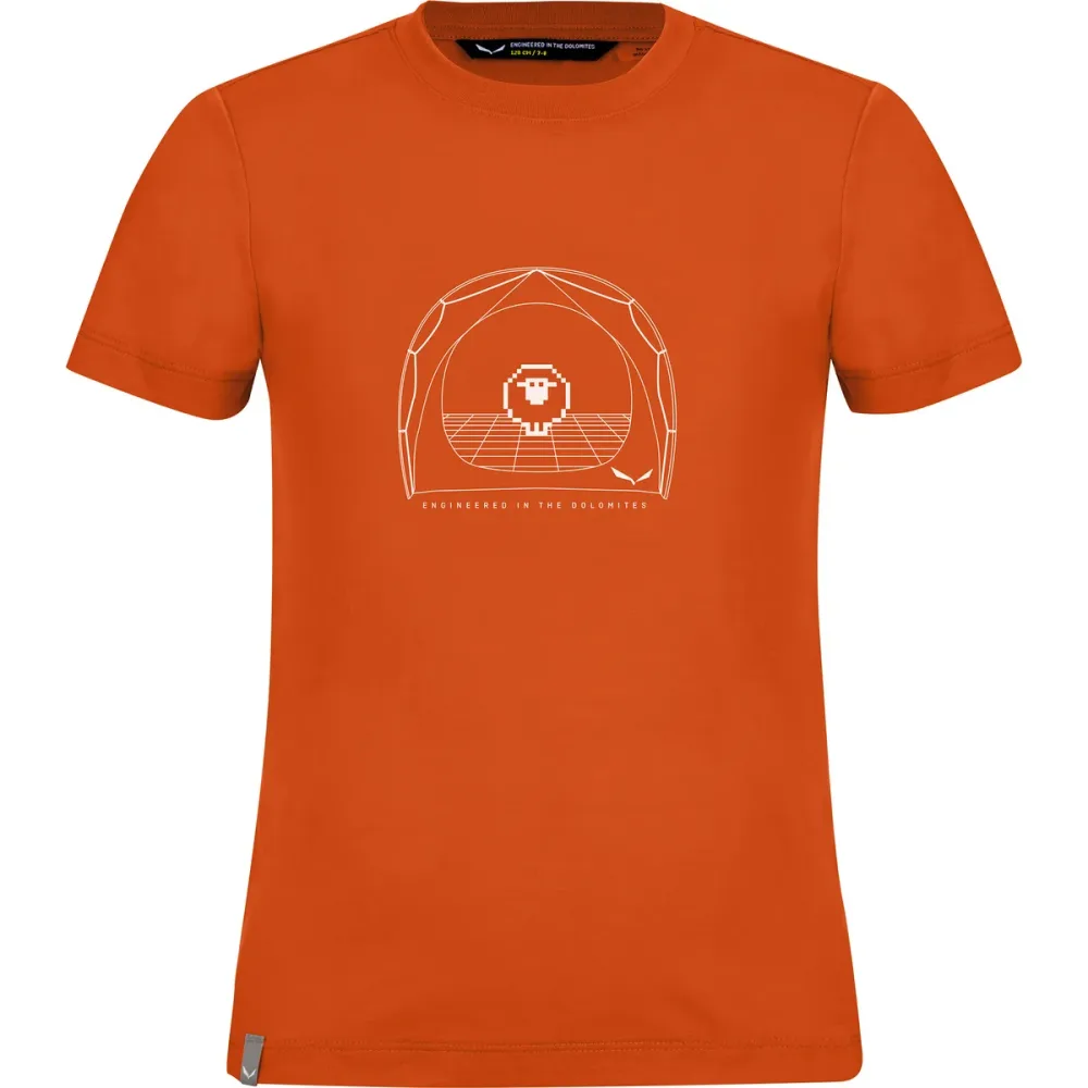 Salewa Kinder Graphic Dry S/S T-Shirt
