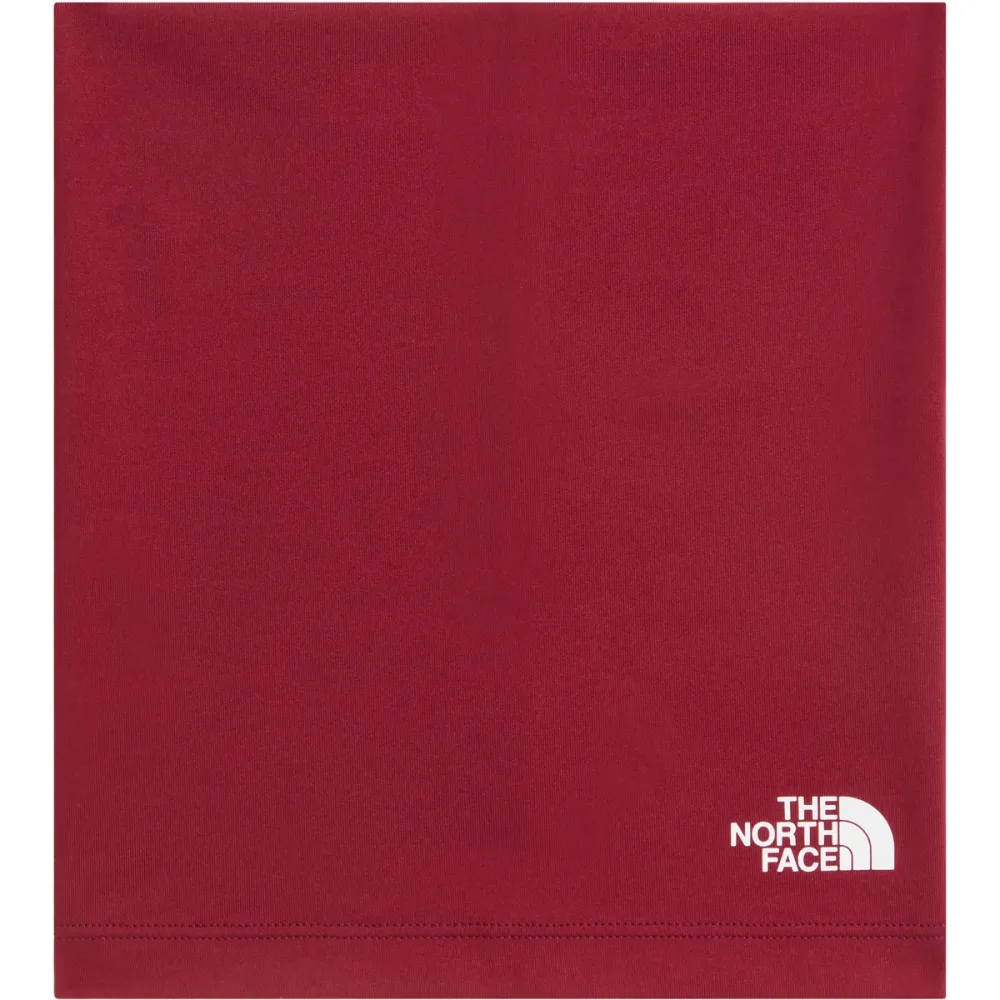 The North Face Dipsea Schlauchtuch
