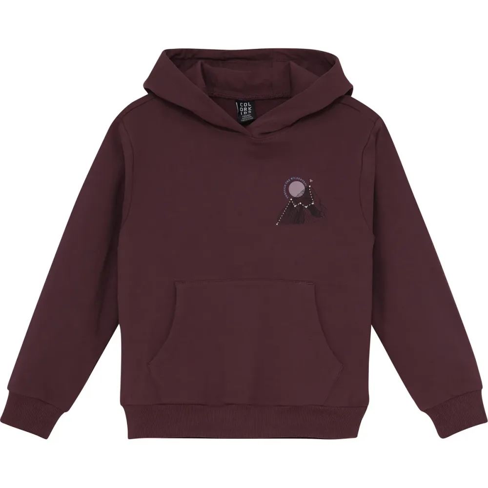 Color Kids Kinder Sweat Hoodie