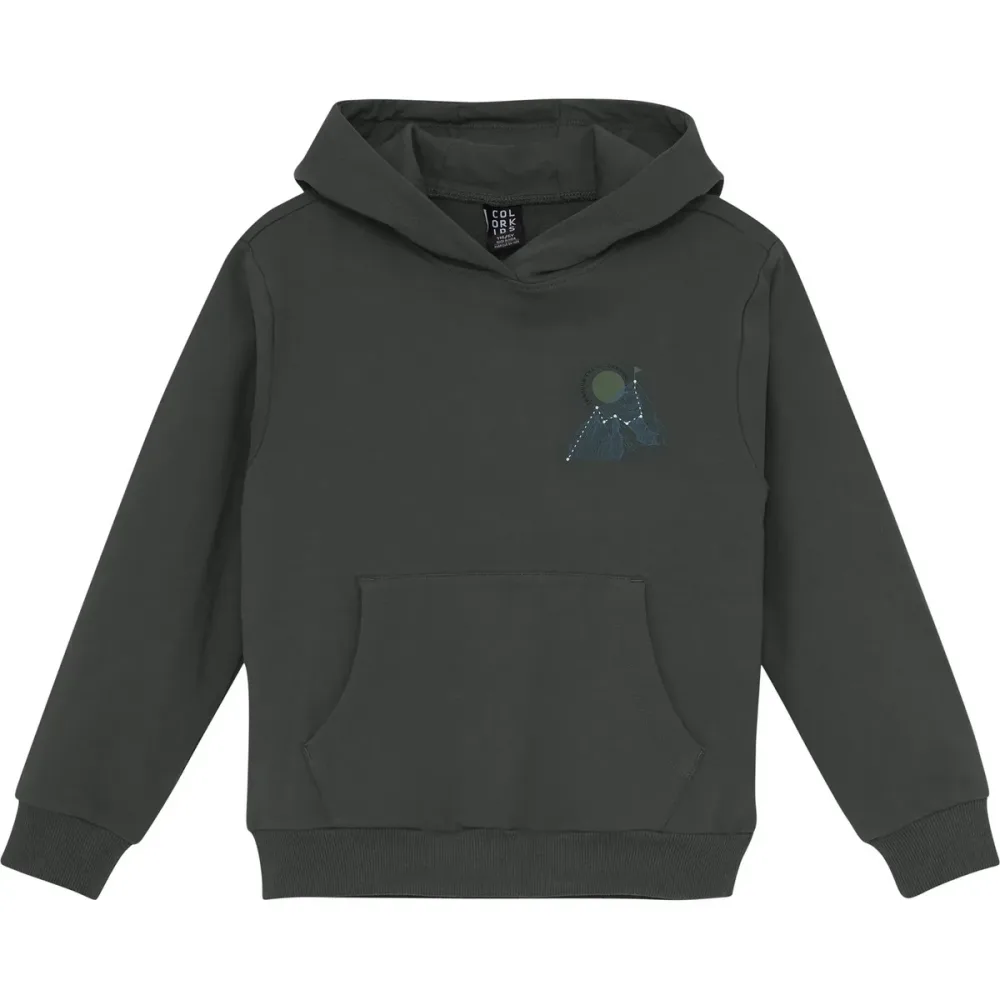 Color Kids Kinder Sweat Hoodie