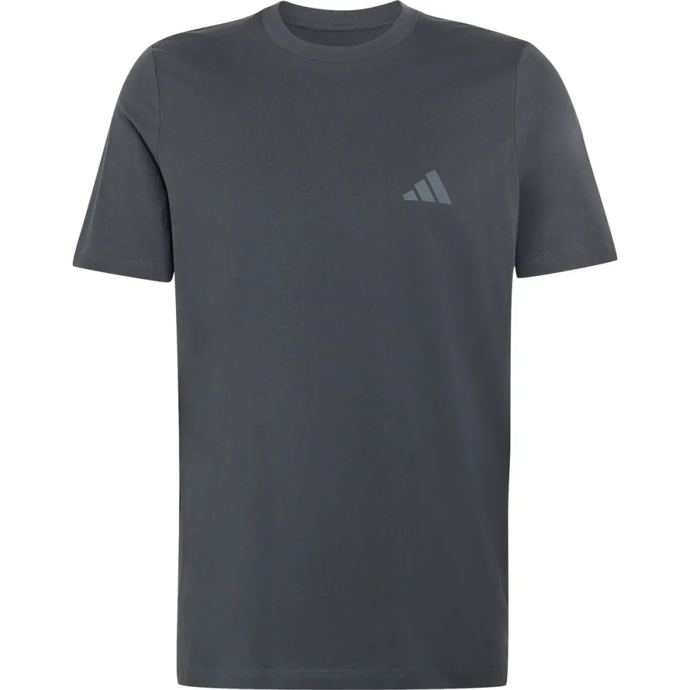 adidas Terrex Herren Mountain Graphic T-Shirt