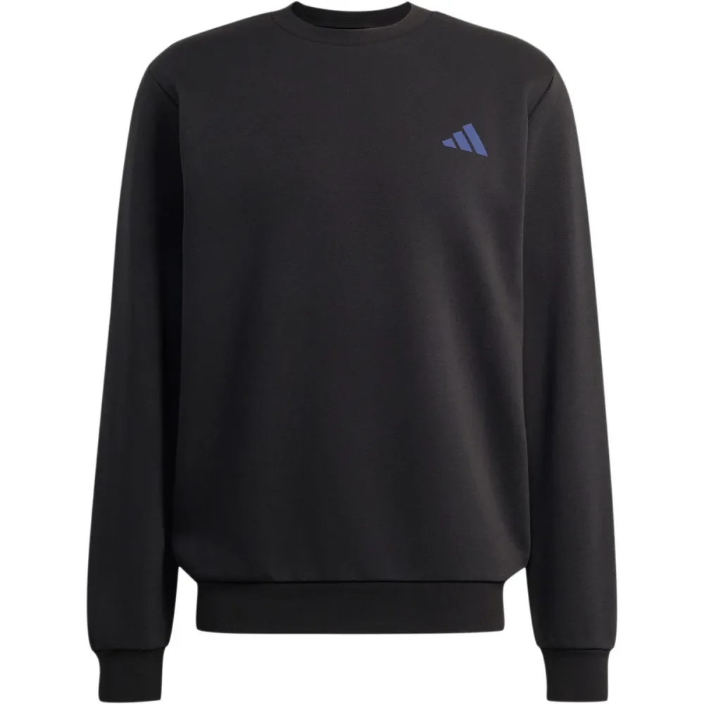 adidas Terrex Herren Snow Sport Graphic Pullover