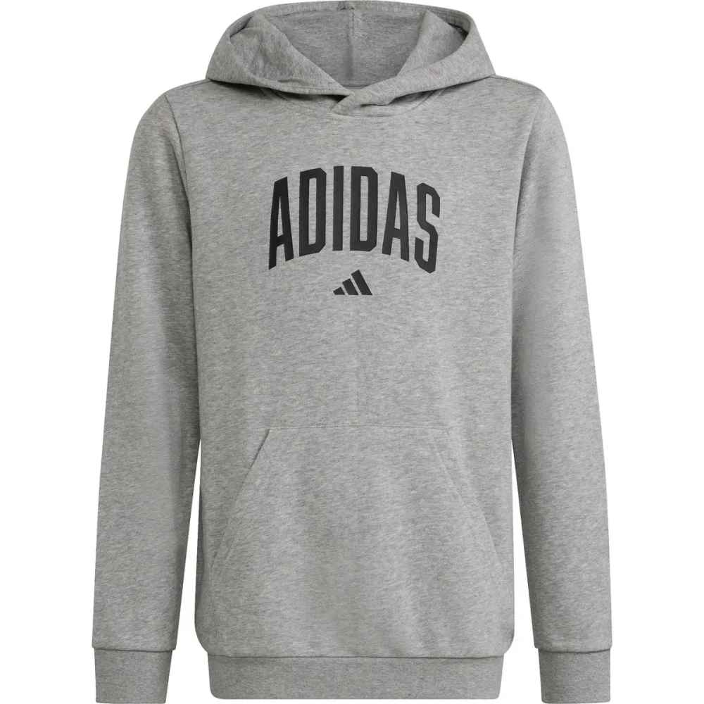 adidas Kinder Collegiate Graphic Hoodie