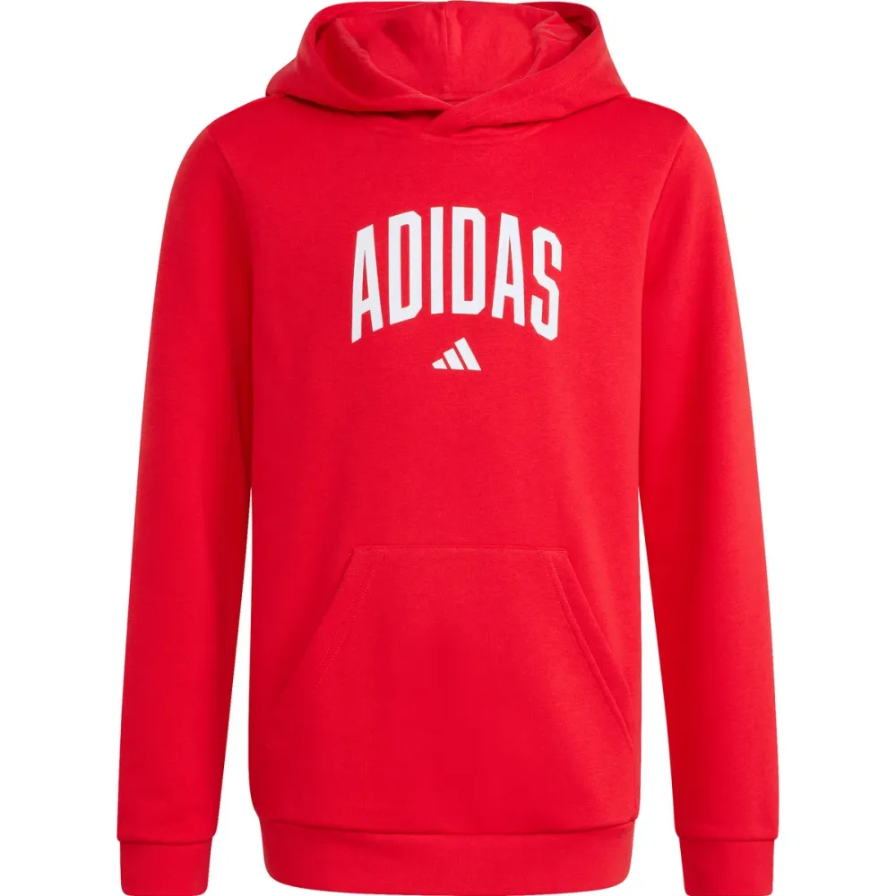 adidas Kinder Collegiate Graphic Hoodie