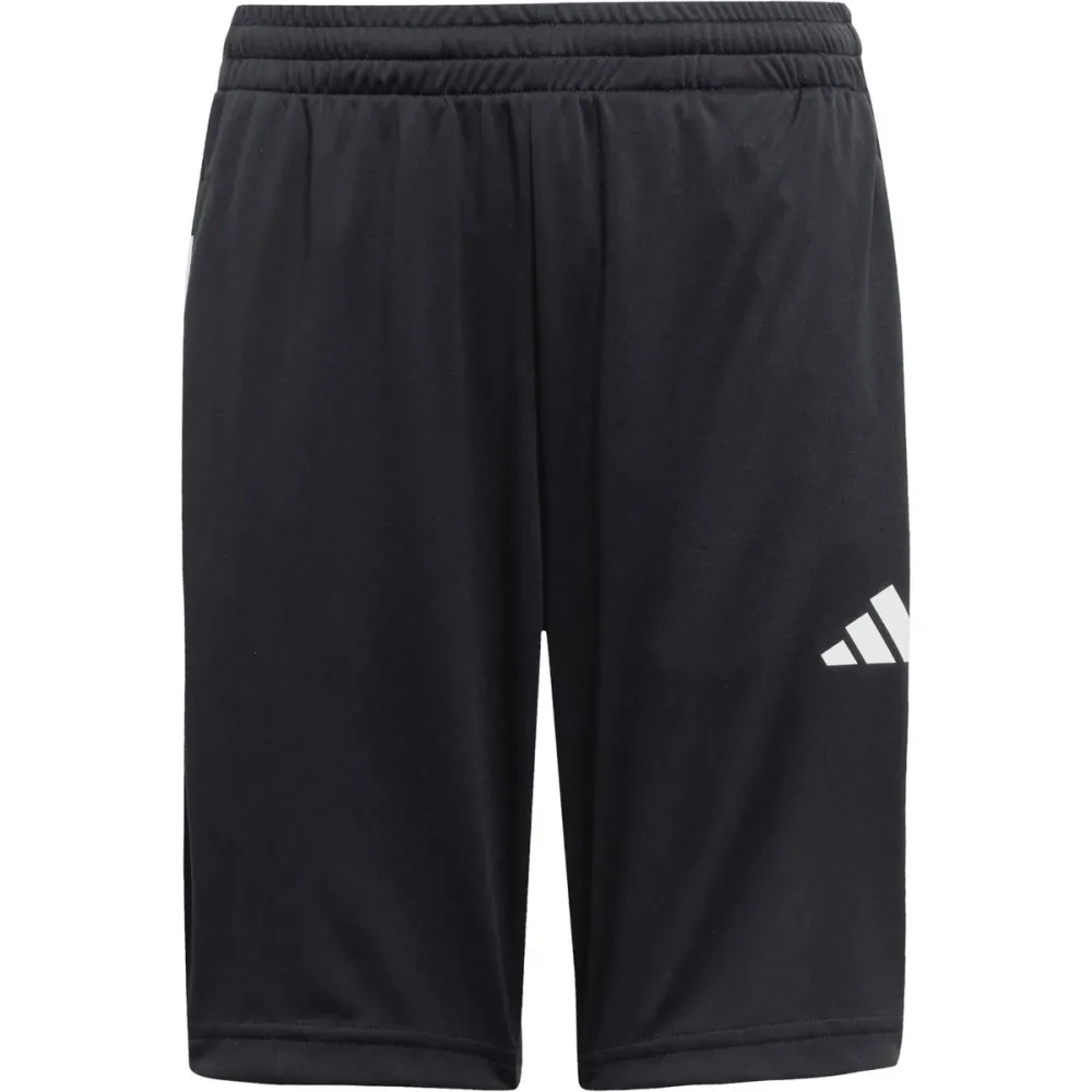 adidas Sportswear Shorts 