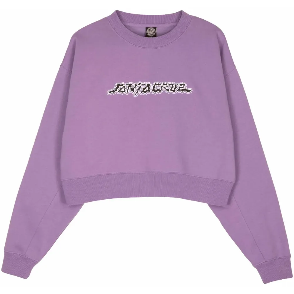 Santa Cruz Sweatshirt 