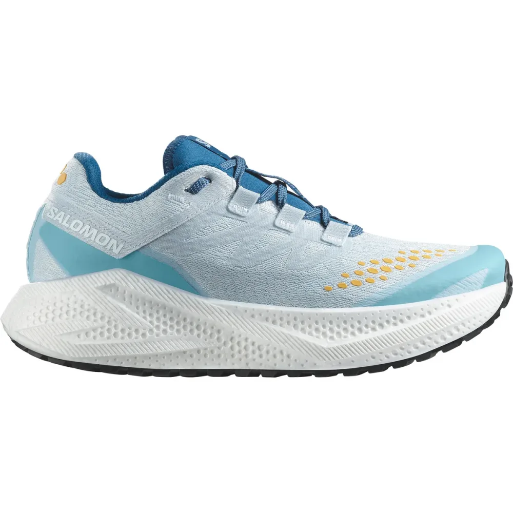 Salomon Herren Aero Glide 3 GRVL Schuhe