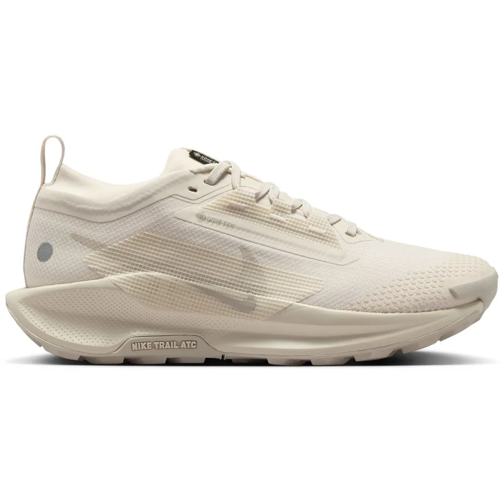 Nike Damen Pegasus Trail 5 GTX Schuhe
