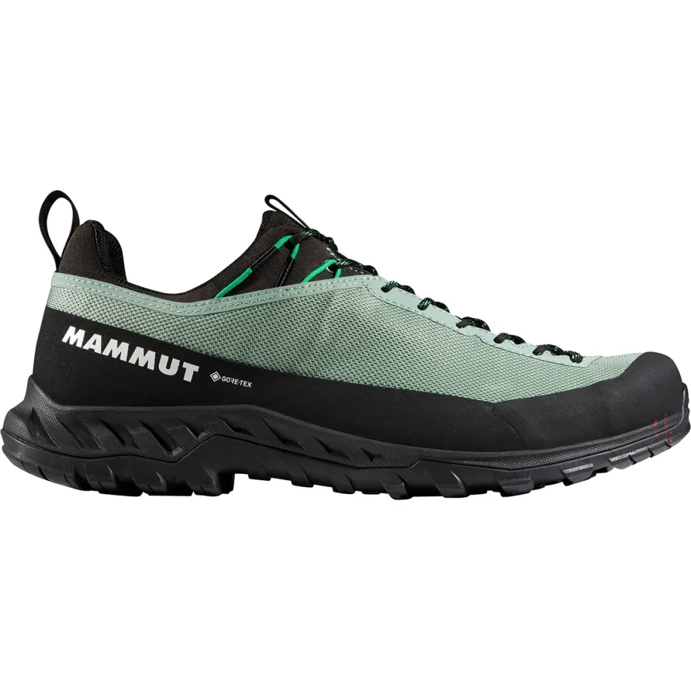 Mammut Herren Alnasca IV Low GTX Schuhe